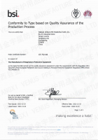 CE Certificate BSI Module D